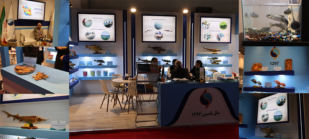 عرضه تازه‌ترین دستاوردهای علمی موسسه تحقیقات علوم شیلاتی کشور در نهمین نمایشگاه بین‌المللی شیلات تهران